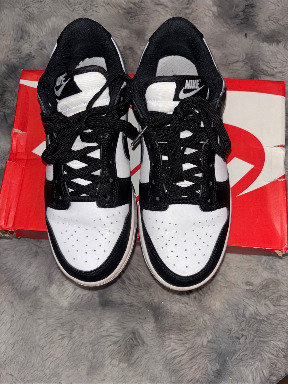 Nike Dunks Black and White Women’s Low-Top Sneakers